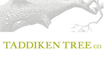 Taddiken Tree Company