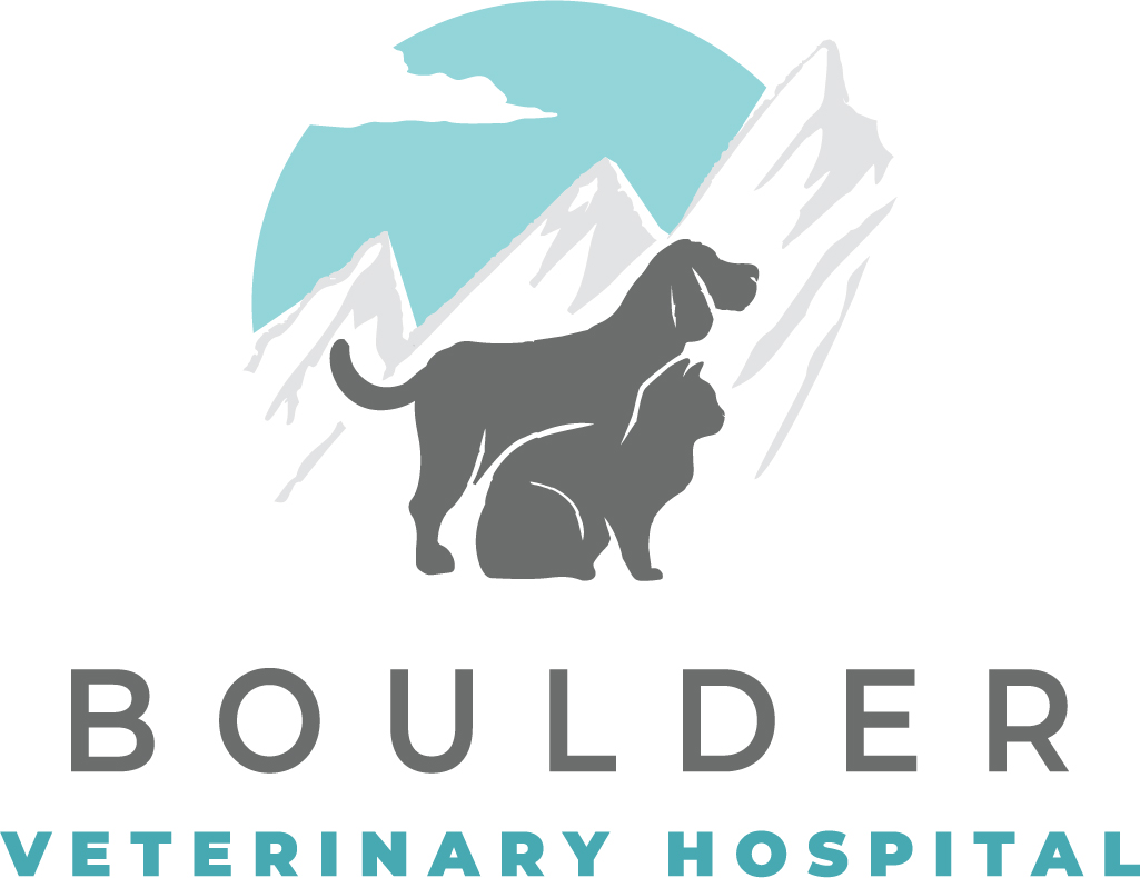 BoulderVet