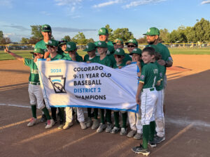 NBLL 11U District Champions!